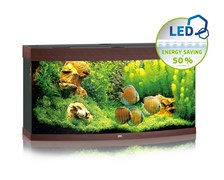 Juwel VISION 260 LED аквариум 260л темное дерево (Dark Wood) 121х46х64см 2х29W Фильтр Bioflow L, нагреватель 300 Вт