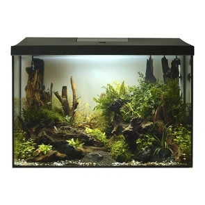 {{photo.Alt || photo.Description || 'AQUAEL LEDDY XL Day &amp; Night 60 (72л) - аквариум с набором оборудования'}}
