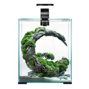 {{photo.Alt || photo.Description || 'AQUAEL Shrimp set Smart LED Day/Night 30 л - аквариум с набором оборудования, черный'}}