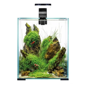 {{photo.Alt || photo.Description || 'AQUAEL Shrimp set Smart LED Day/Night 19 л - аквариум с набором оборудования, черный'}}