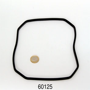 {{productViewItem.photos[photoViewList.activeNavIndex].Alt || productViewItem.photos[photoViewList.activeNavIndex].Description || 'JBL CP e1500/1501/1502/1901/1902 Profil-Dichtung Pumpenkopf - Прокладка головы фильтра для CristalProfi e1500/1501/1502/1901/1902'}}