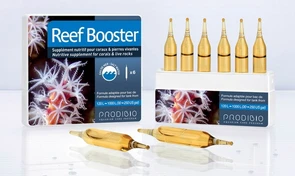 Prodibio REEF BOOSTER (6 ампул) средство стимулирующее рост и развитие кораллов, моллюсков и микрофауны PD-001211
