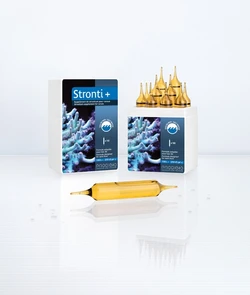 Prodibio STRONTI+ PRO10 (10 больших ампул) 1x4000л добавка стронция для рифового аквариума PD-007251