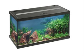 EHEIM aquastar 54 LED - аквариум черный 54л  60x30x30см