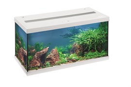 EHEIM aquastar 54 LED - аквариум белый 54л  60x30x30см
