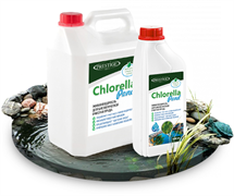 Chlorella Pond 5000 мл - биологическое средство для борьбы с водорослями в пруду и очистки воды