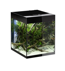 {{photo.Alt || photo.Description || 'AQUAEL Glossy ST Cube Day&amp;Night 50 (135л) аквариум с LED освещением из стекла "триплекс"'}}