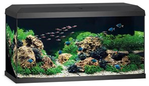 Juwel PRIMO 2.0 110 аквариум 110л черный (Black) 81х36х45см LED 10,5w Фильтр Bioflow Super нагреватель 100 Вт