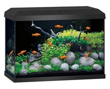 Juwel PRIMO 2.0 70 аквариум 70л черный (Black) 61х31х44см LED 8w Фильтр Bioflow One нагреватель 50 Вт