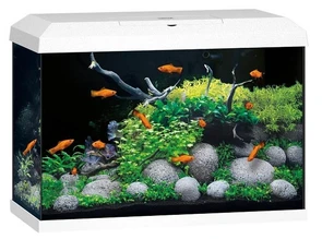 {{photo.Alt || photo.Description || 'Juwel PRIMO 2.0 70 аквариум 70л белый (white) 61х31х44см LED 8w Фильтр Bioflow One нагреватель 50 Вт'}}