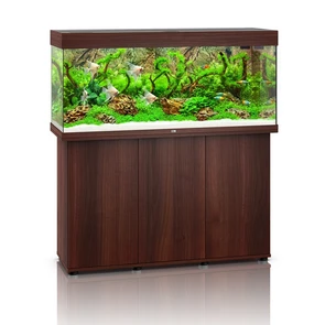 {{photo.Alt || photo.Description || 'Juwel RIO 240 LED аквариум В КОМПЛЕКТЕ С ТУМБОЙ 240л темное дерево (Dark Wood) 121х41х55см 2х29W Фильтр Bioflow M, нагреватель 200 Вт'}}