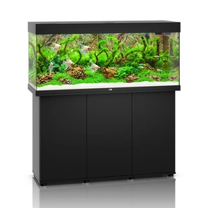 {{photo.Alt || photo.Description || 'Juwel RIO 240 LED аквариум В КОМПЛЕКТЕ С ТУМБОЙ 240л черный (Black) 121х41х55см 2х29W Фильтр Bioflow M, нагреватель 200 Вт'}}