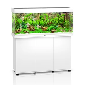 {{photo.Alt || photo.Description || 'Juwel RIO 240 LED аквариум В КОМПЛЕКТЕ С ТУМБОЙ 240л белый (White) 121х41х55см 2х29W Фильтр Bioflow M, нагреватель 200 Вт'}}
