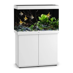 {{photo.Alt || photo.Description || 'Juwel RIO 290 LED аквариум В КОМПЛЕКТЕ С ТУМБОЙ 290л белый (White) 101х51х66см 2х17 Вт, Фильтр Bioflow L, нагреватель 300 Вт'}}