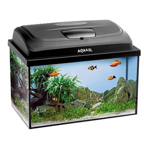 {{photo.Alt || photo.Description || 'AQUAEL AQUA 4KIDS 40 / 25 л - прямоугольный аквариум для детей с освещением, набором оборудования и аксессуаров'}}