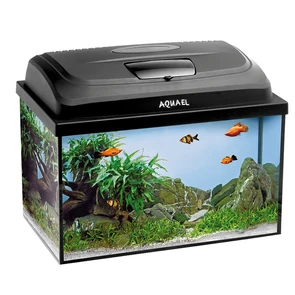 {{photo.Alt || photo.Description || 'AQUAEL AQUA 4KIDS 40 / 25 л - прямоугольный аквариум для детей с освещением, набором оборудования и аксессуаров'}}
