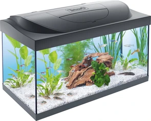 {{photo.Alt || photo.Description || 'Tetra Starter Line LED аквариумный комплекс 54 л (чёрный)'}}