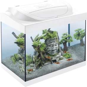 {{photo.Alt || photo.Description || 'Tetra Starter Line LED Cray аквариумный комплекс 30 л (белый)'}}