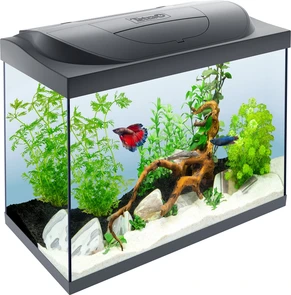{{photo.Alt || photo.Description || 'Tetra Starter Line LED аквариумный комплекс 80 л (чёрный)'}}