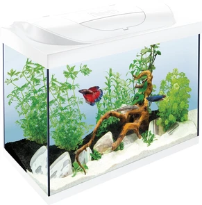 {{photo.Alt || photo.Description || 'Tetra Starter Line LED аквариумный комплекс 80 л (белый)'}}