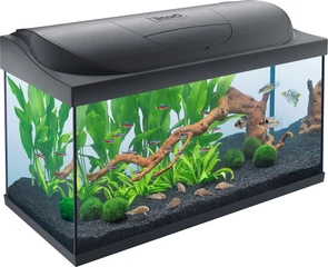 {{photo.Alt || photo.Description || 'Tetra Starter Line LED аквариумный комплекс 105 л (чёрный)'}}