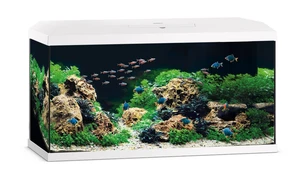 {{photo.Alt || photo.Description || 'Juwel PRIMO 2.0 110 аквариум 110л белый (White) 81х36х45см LED 10,5w Фильтр Bioflow Super нагреватель 100 Вт'}}