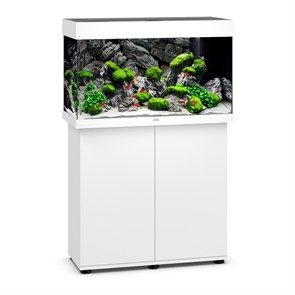 {{photo.Alt || photo.Description || 'Juwel RIO 125 LED аквариум В КОМПЛЕКТЕ С ТУМБОЙ 125л белый (White) 81х36х50см 2х14W Фильтр Bioflow М, нагреватель 100 Вт'}}