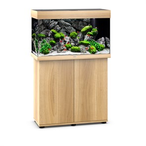 {{photo.Alt || photo.Description || 'Juwel RIO 125 LED аквариум В КОМПЛЕКТЕ С ТУМБОЙ 125л светлое дерево (Light wood) 81х36х50см 2х14W Фильтр Bioflow М, нагреватель 100 Вт'}}