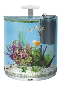 {{photo.Alt || photo.Description || 'Tetra AquaArt Explorer Line 60л (белый) - аквариум со встроенным фильтром и LED-освещением'}}