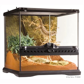 {{photo.Alt || photo.Description || 'EXO TERRA Natural Terrarium Mini - террариум из силикатного стекла, 30x30x30 см'}}