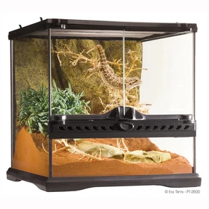 {{productViewItem.photos[photoViewList.activeNavIndex].Alt || productViewItem.photos[photoViewList.activeNavIndex].Description || 'EXO TERRA Natural Terrarium Mini - террариум из силикатного стекла, 30x30x30 см'}}