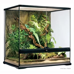 {{photo.Alt || photo.Description || 'EXO TERRA Natural Terrarium Medium - террариум из силикатного стекла, 60x45x60 см'}}
