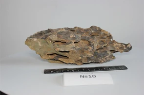 Камень "Дракон" М №10- на фото - именно тот камень, который вы получите PR-222551-10