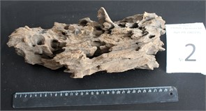 {{photo.Alt || photo.Description || 'Коряга-эксклюзив Дракон M №2 - на фото актуальная коряга, существует в единственном экземпляре'}}