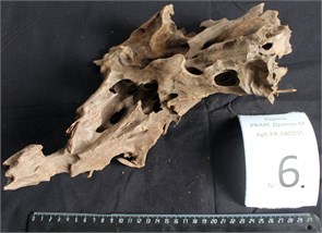 {{photo.Alt || photo.Description || 'Коряга-эксклюзив Дракон M №6 - на фото актуальная коряга, существует в единственном экземпляре'}}