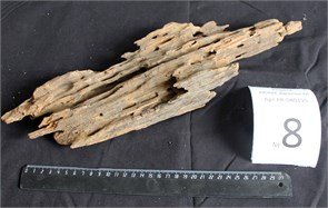 {{photo.Alt || photo.Description || 'Коряга-эксклюзив Дракон M №8 - на фото актуальная коряга, существует в единственном экземпляре'}}