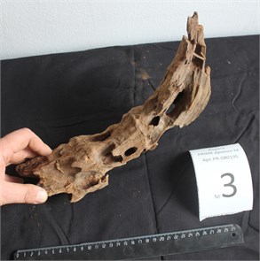 {{photo.Alt || photo.Description || 'Коряга-эксклюзив Дракон M №3 - на фото актуальная коряга, существует в единственном экземпляре - на фото актуальная коряга, существует в единственном экземпляре'}}