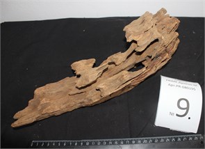 {{photo.Alt || photo.Description || 'Коряга-эксклюзив Дракон M №9 - на фото актуальная коряга, существует в единственном экземпляре'}}