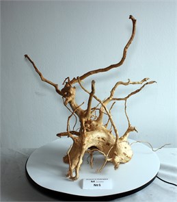 {{photo.Alt || photo.Description || 'Коряга-эксклюзив Сакура (56x40x45 см) M №1 - на фото актуальная коряга, существует в единственном экземпляре'}}