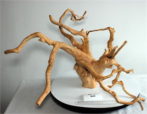 {{photo.Alt || photo.Description || 'Коряга-эксклюзив Сакура (50x40x35 см) M №4 - на фото актуальная коряга, существует в единственном экземпляре'}}