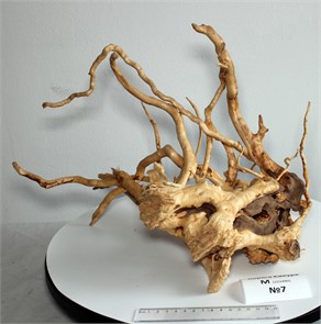 {{photo.Alt || photo.Description || 'Коряга-эксклюзив Сакура (38x36x31 см) M №7 - на фото актуальная коряга, существует в единственном экземпляре'}}