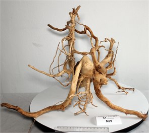 {{photo.Alt || photo.Description || 'Коряга-эксклюзив Сакура (45x45x26 см) M №9 - на фото актуальная коряга, существует в единственном экземпляре'}}