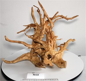 {{photo.Alt || photo.Description || 'Коряга-эксклюзив Сакура (50x30x33 см) M №10 - на фото актуальная коряга, существует в единственном экземпляре'}}