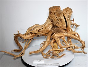 {{photo.Alt || photo.Description || 'Коряга-эксклюзив Сакура (66x40x37 см) M++ №14 - на фото актуальная коряга, существует в единственном экземпляре'}}