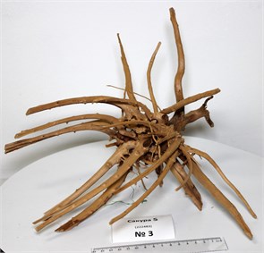 {{photo.Alt || photo.Description || 'Коряга-эксклюзив Сакура (33x29x24 см) S+ №3 - на фото актуальная коряга, существует в единственном экземпляре - на фото актуальная коряга, существует в единственном экземпляре'}}