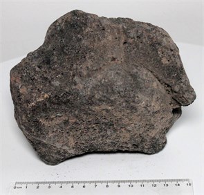 {{photo.Alt || photo.Description || 'Камень-эксклюзив Чёрный вулканический М (10-20 см) №8 - на фото актуальный камень, существует в единственном экземпляре'}}