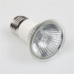 {{photo.Alt || photo.Description || 'JBL ReptilDay Halogen 35 ватт - Галогеновая лампа для террариума - УФ-А - 1%'}}