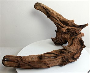 {{photo.Alt || photo.Description || 'Коряга-эксклюзив Затонувшая (54x36x26 см) M №1 - на фото актуальная коряга, существует в единственном экземпляре'}}