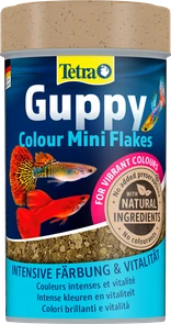 {{photo.Alt || photo.Description || 'Tetra Guppy Colour 100 мл - корм для улучшения окраски у гуппи'}}