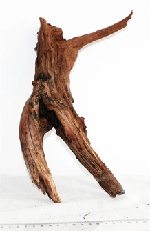 Коряга-эксклюзив Затонувшая S №18 PR-222452-18